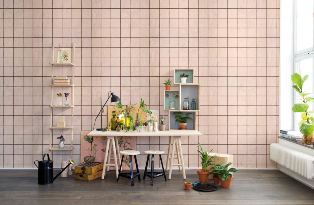 women's day wallpaper honpo