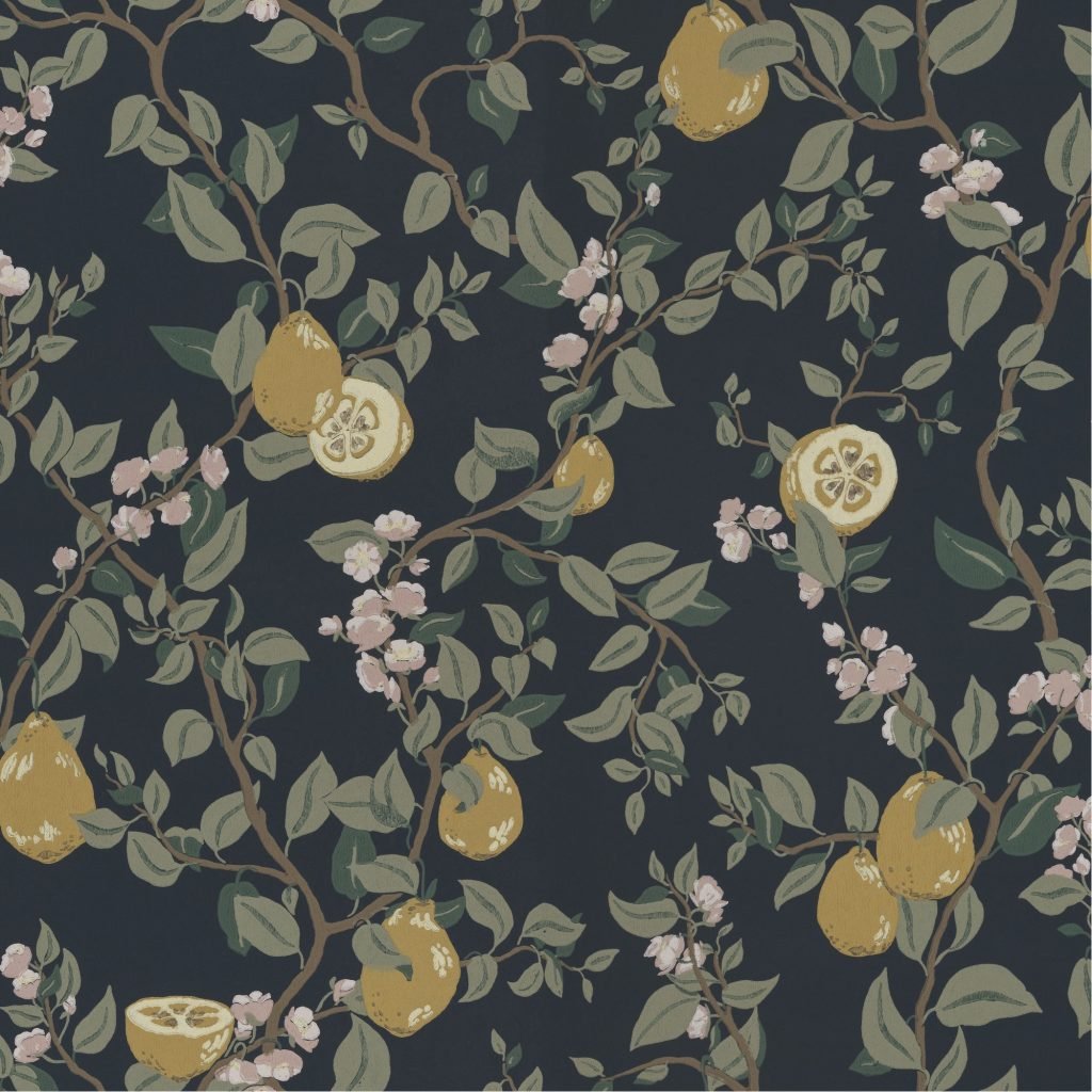 fruit wallpapers sandberg