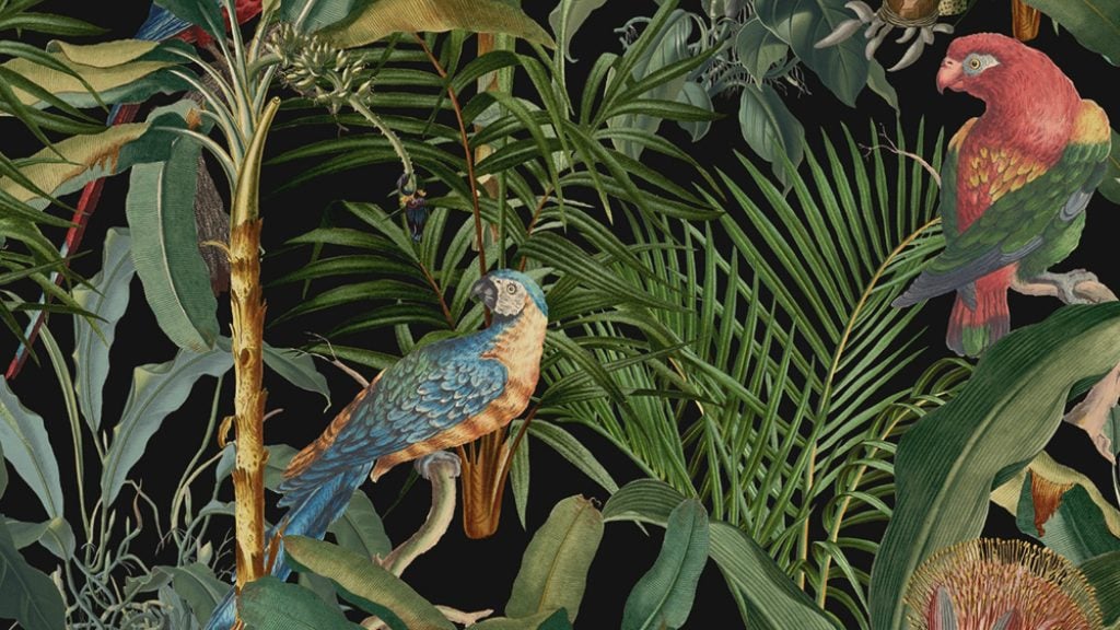 animal wallpapers: animal atmosphere