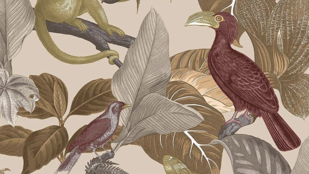 animal wallpapers: tropical paradise