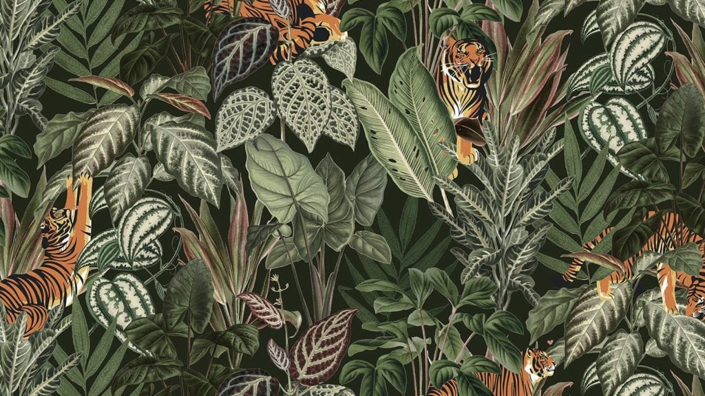 animal wallpapers: tiger