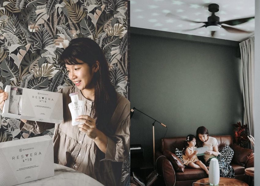 koyourichan home wallpaper style