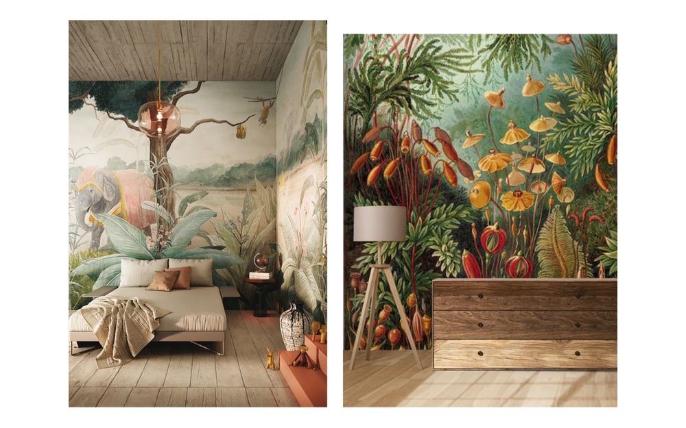 Adventure Interior Design Ideas