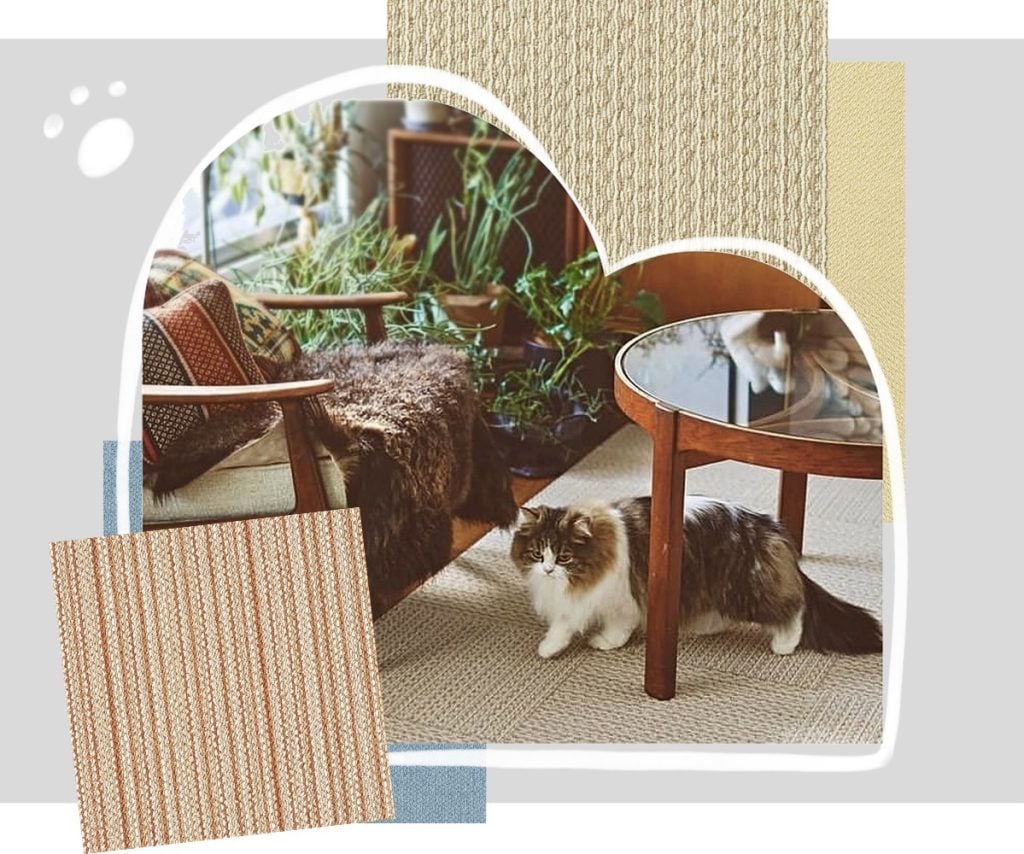 best pet carpet for home flooring