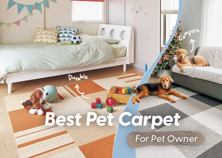 Pet Carpet