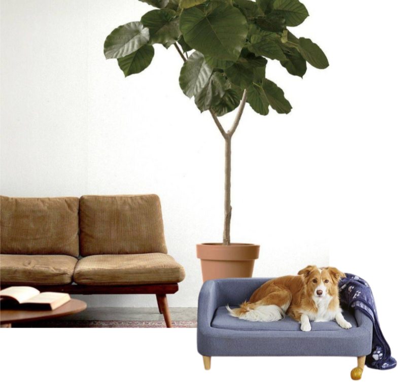 Botanical Wall Decal