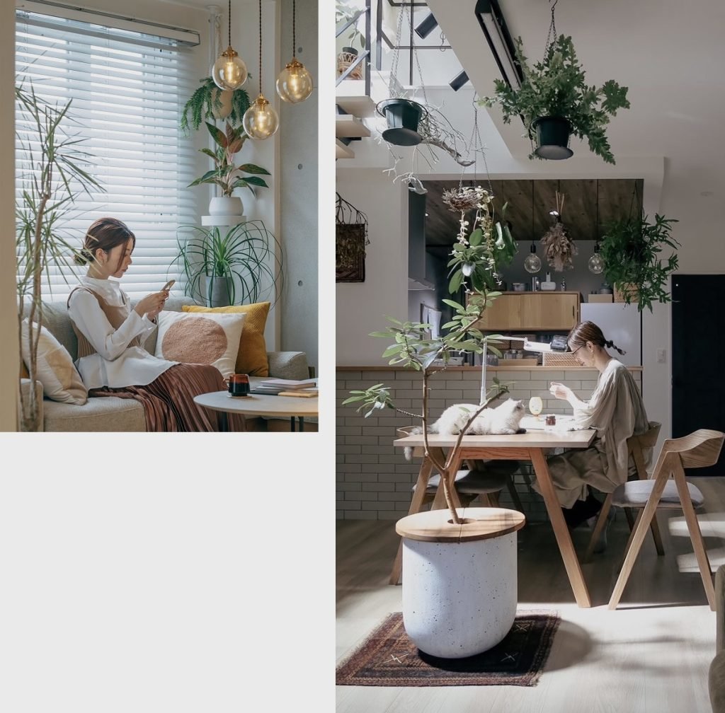 Biophilic space for Increase Focus and Productivity 