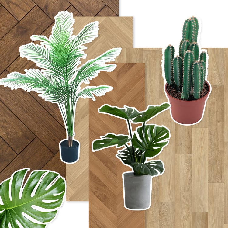 kitchen design ideas