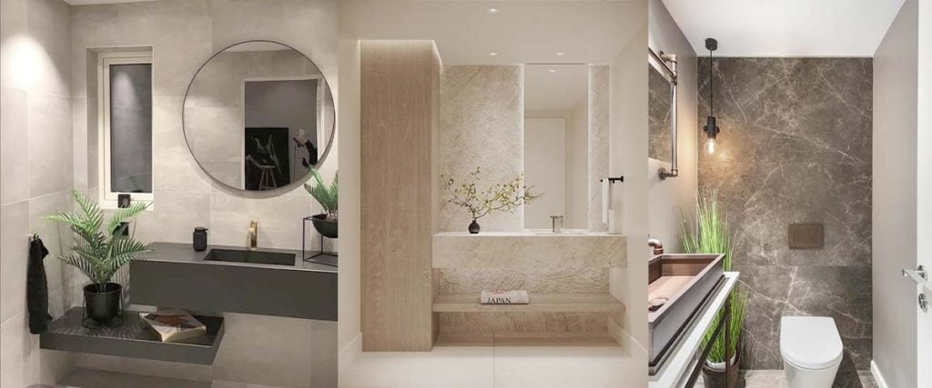 Plant for Toilet Decor