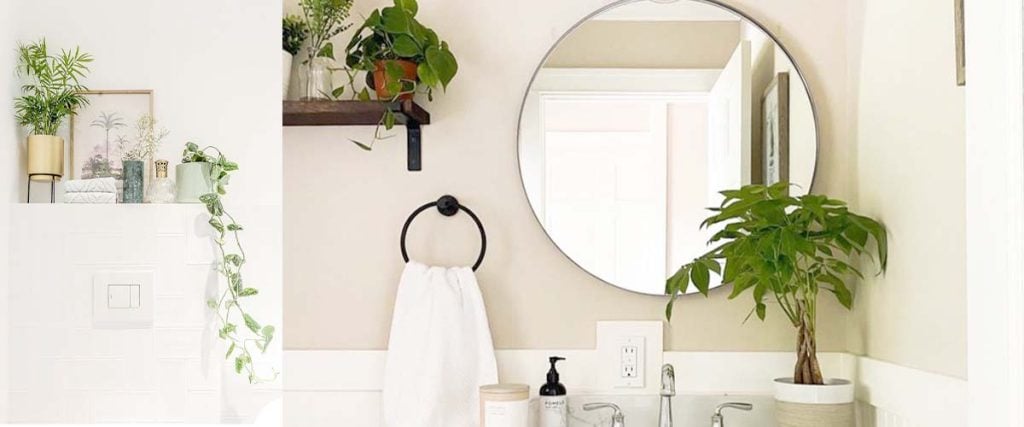 Acssories for Toilet Area