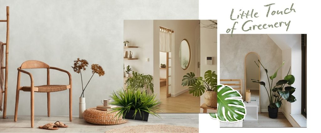 tips limewash design for bedroom: greenery