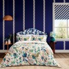 Harlequin | Sophie Robinson | Ric Rac