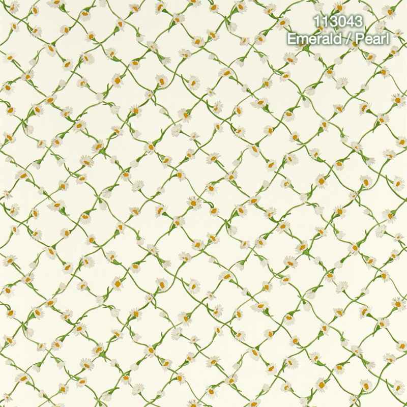 Harlequin | Sophie Robinson | Daisy Trellis