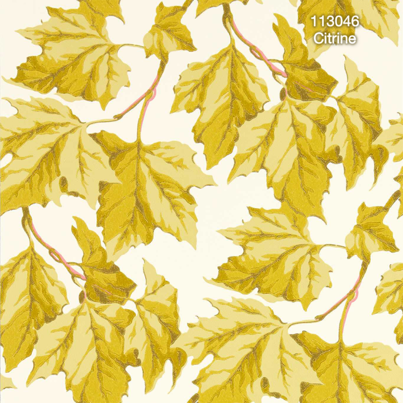 Harlequin | Sophie Robinson | Dappled Leaf