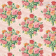 Harlequin | Sophie Robinson | Dahlia Bunch
