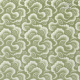 Harlequin | Henryholland | Ludaix Wide Width