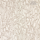 Harlequin | Henryholland | Edenfield Wide Width