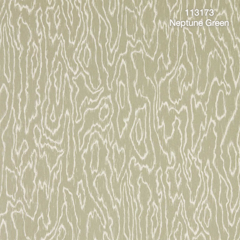 Harlequin | Henryholland | Edenfield Wide Width