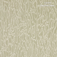 Harlequin | Henryholland | Edenfield Wide Width