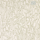 Harlequin | Henryholland | Edenfield Wide Width