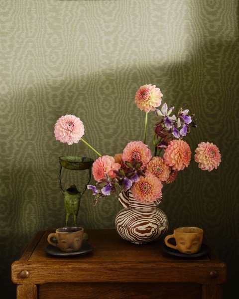 Harlequin | Henryholland | Elsworthy Wide Width