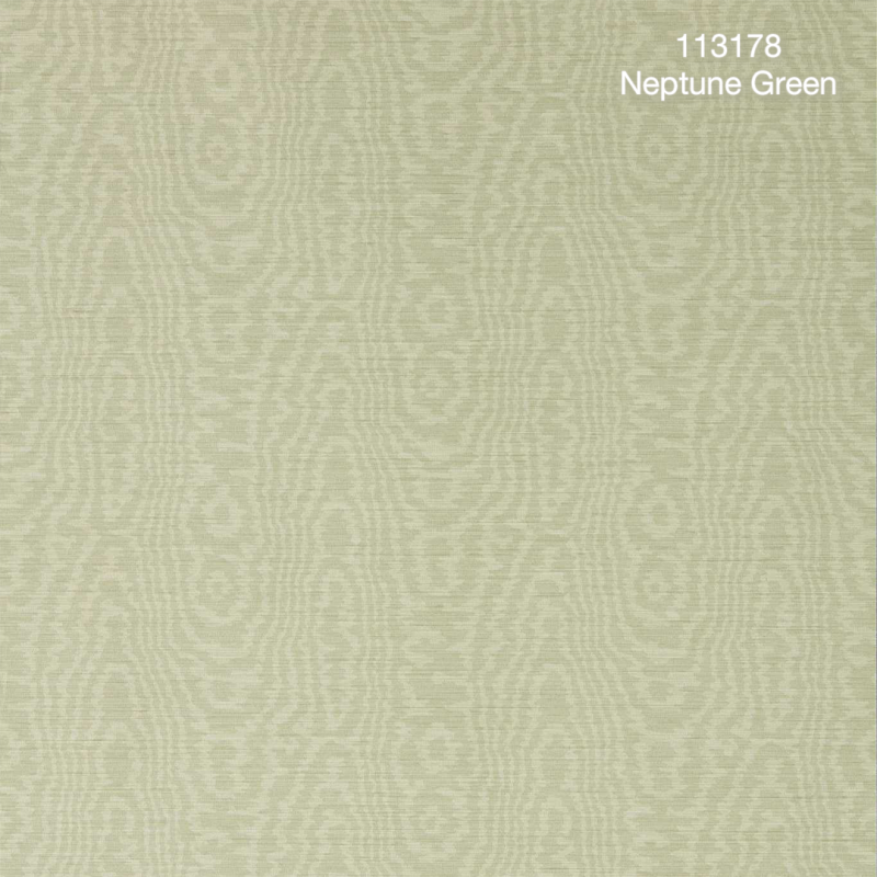 Harlequin | Henryholland | Elsworthy Wide Width