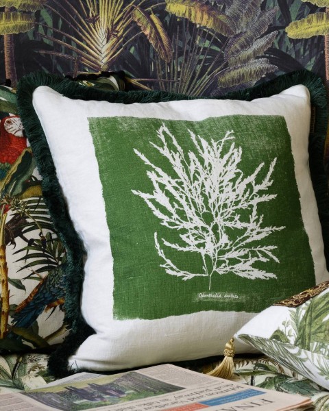 MINDTHEGAP | ALGAE Cushion