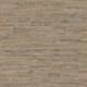 31537031 | Curiosity