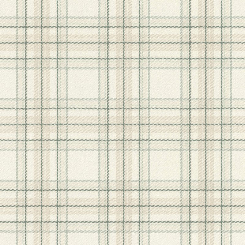 537437 | Curiosity