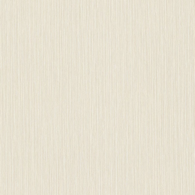 537628 | Curiosity