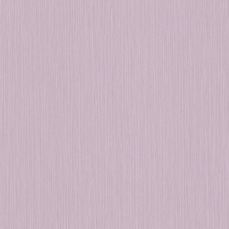537642 | Curiosity