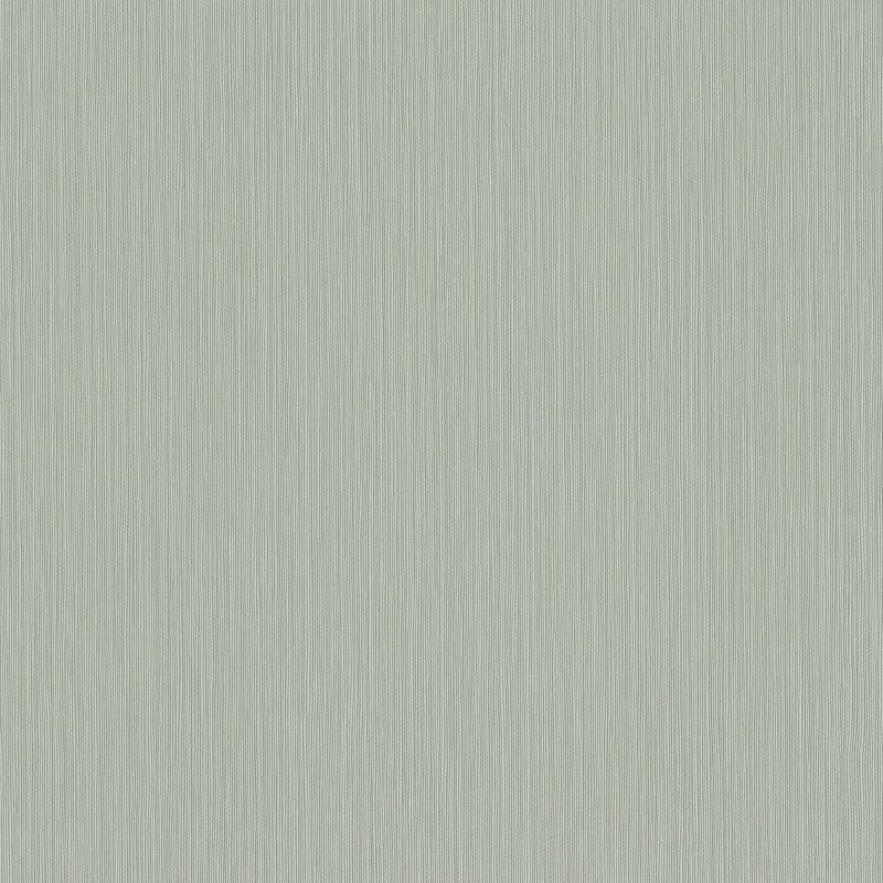 537659 | Curiosity