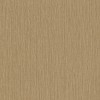 537703 | Curiosity