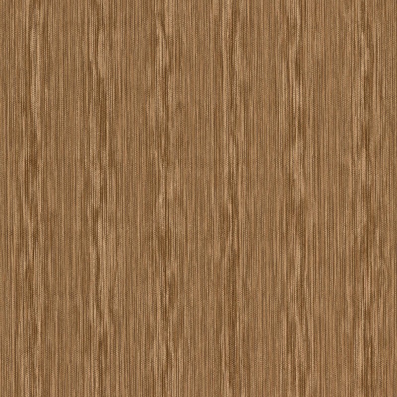 537734 | Curiosity
