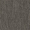 537741 | Curiosity