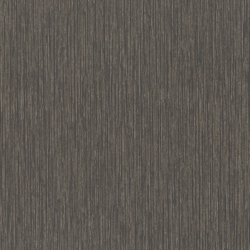 537741 | Curiosity