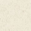 538311 | Curiosity