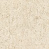 538328 | Curiosity