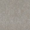 538335 | Curiosity