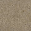 538342 | Curiosity