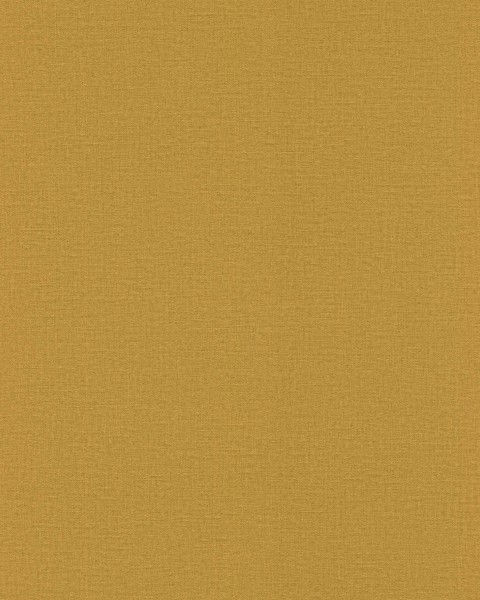 555929 | Lirico