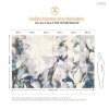 Hohenberger | GMM | Le Bouquet 