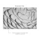 Affreschi & Affreschi | 3D Wall | 3D50