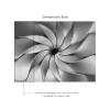 Affreschi & Affreschi | 3D Wall | 3D51 