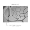 Affreschi & Affreschi | 3D Wall | 3D55