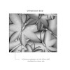 Affreschi & Affreschi | 3D Wall | 3D57