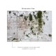 Affreschi & Affreschi | About You | AY 156