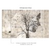 Affreschi & Affreschi | Aloha | AH 060