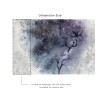 Affreschi & Affreschi | Aloha | AH 076