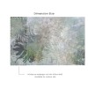 Affreschi & Affreschi | Aloha | AH 068
